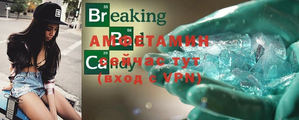 индика Гусь-Хрустальный